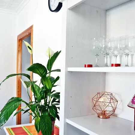 Alicante Room Apartment 홈스테이 알리칸테