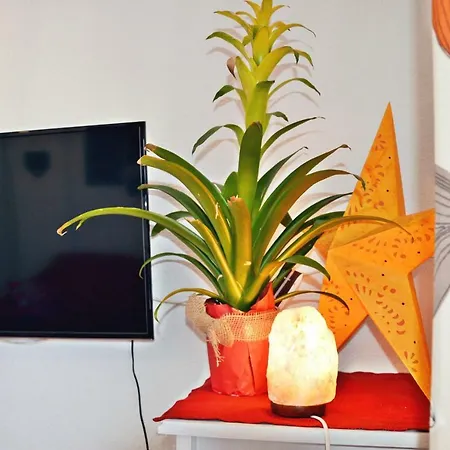 Alicante Room Apartment