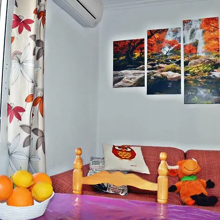 홈스테이 Alicante Room Apartment *
