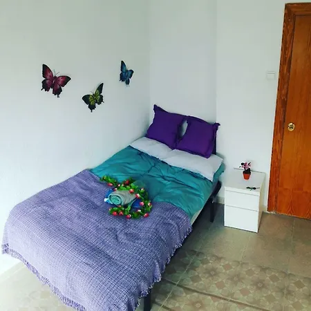 홈스테이 Alicante Room Apartment *